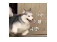 6383409957935681746208255.jpg